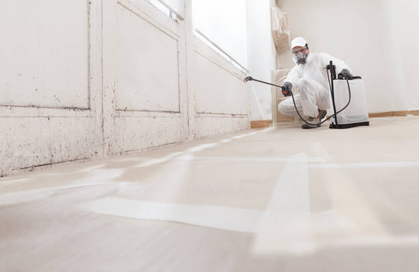 24/7 Emergency Commercial Mold Remediation experts in Spring City, PA
