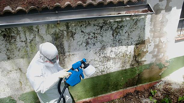 Top rated local Commercial Mold Remediation specialists in Spring City, PA